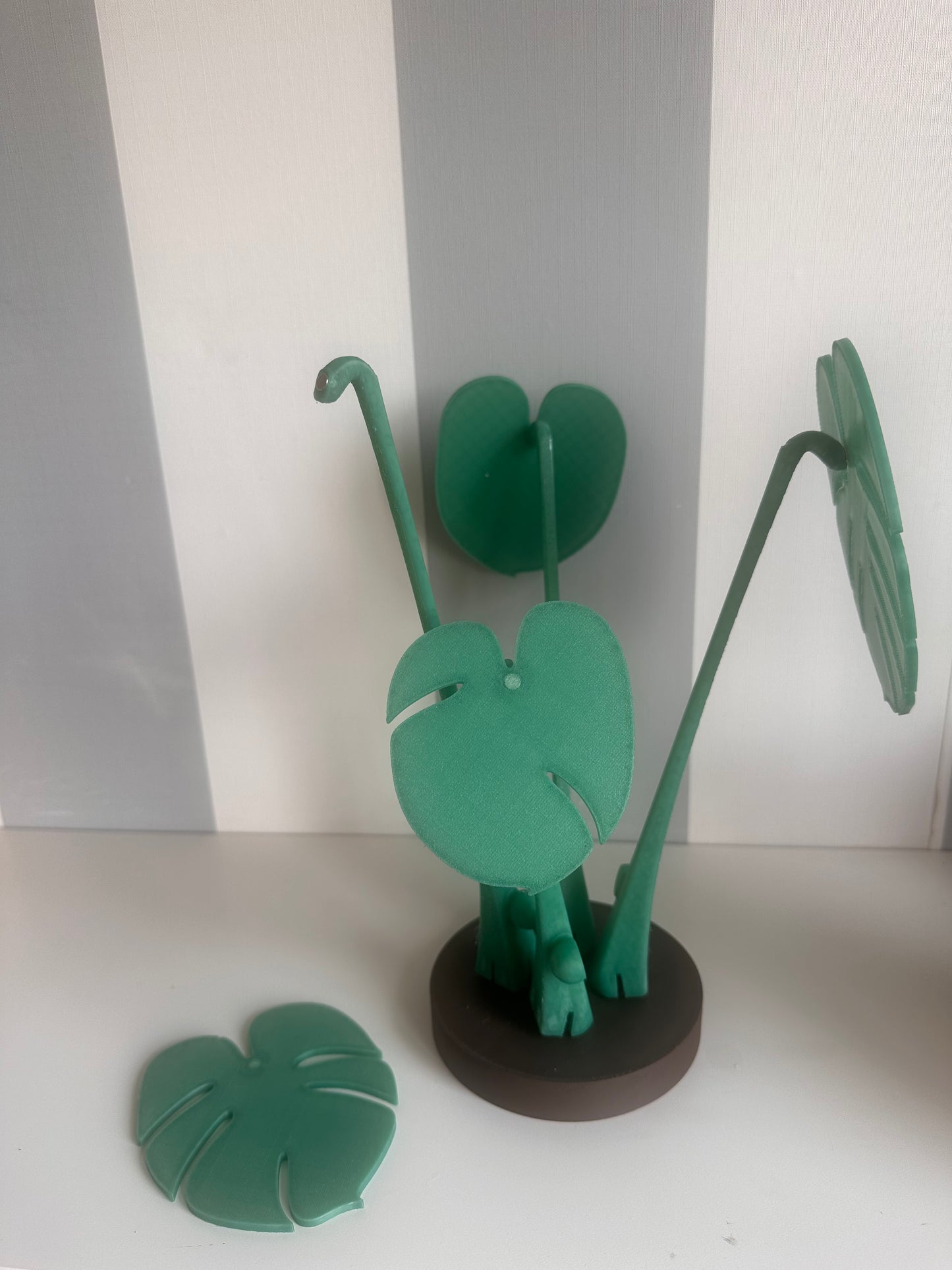 Monstera plant coaster