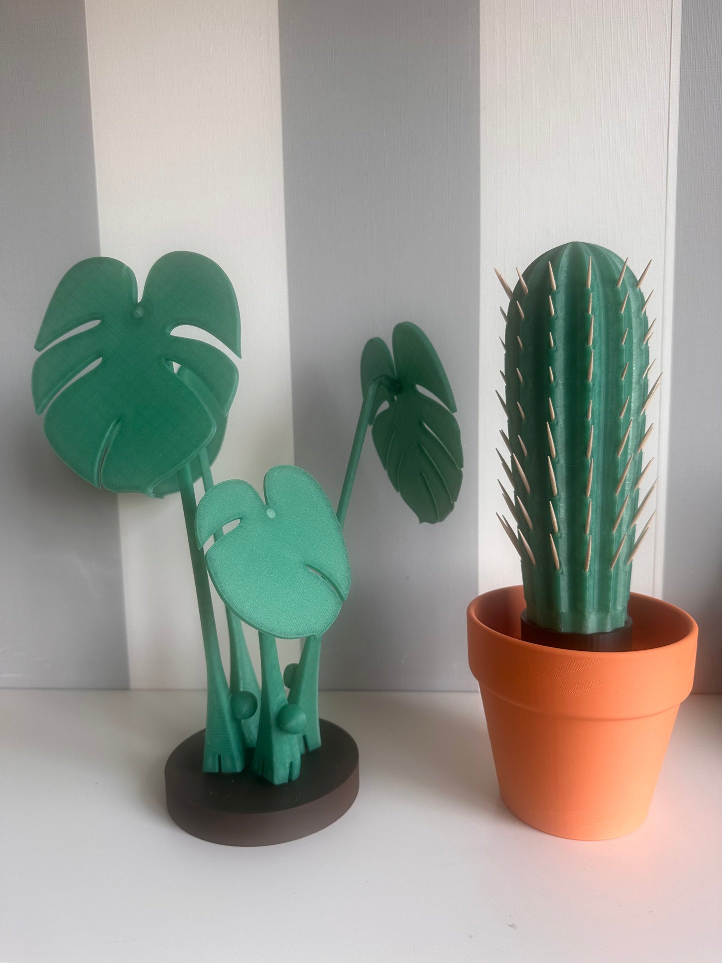 Pack of monstera coasters and cactus toothpick holders