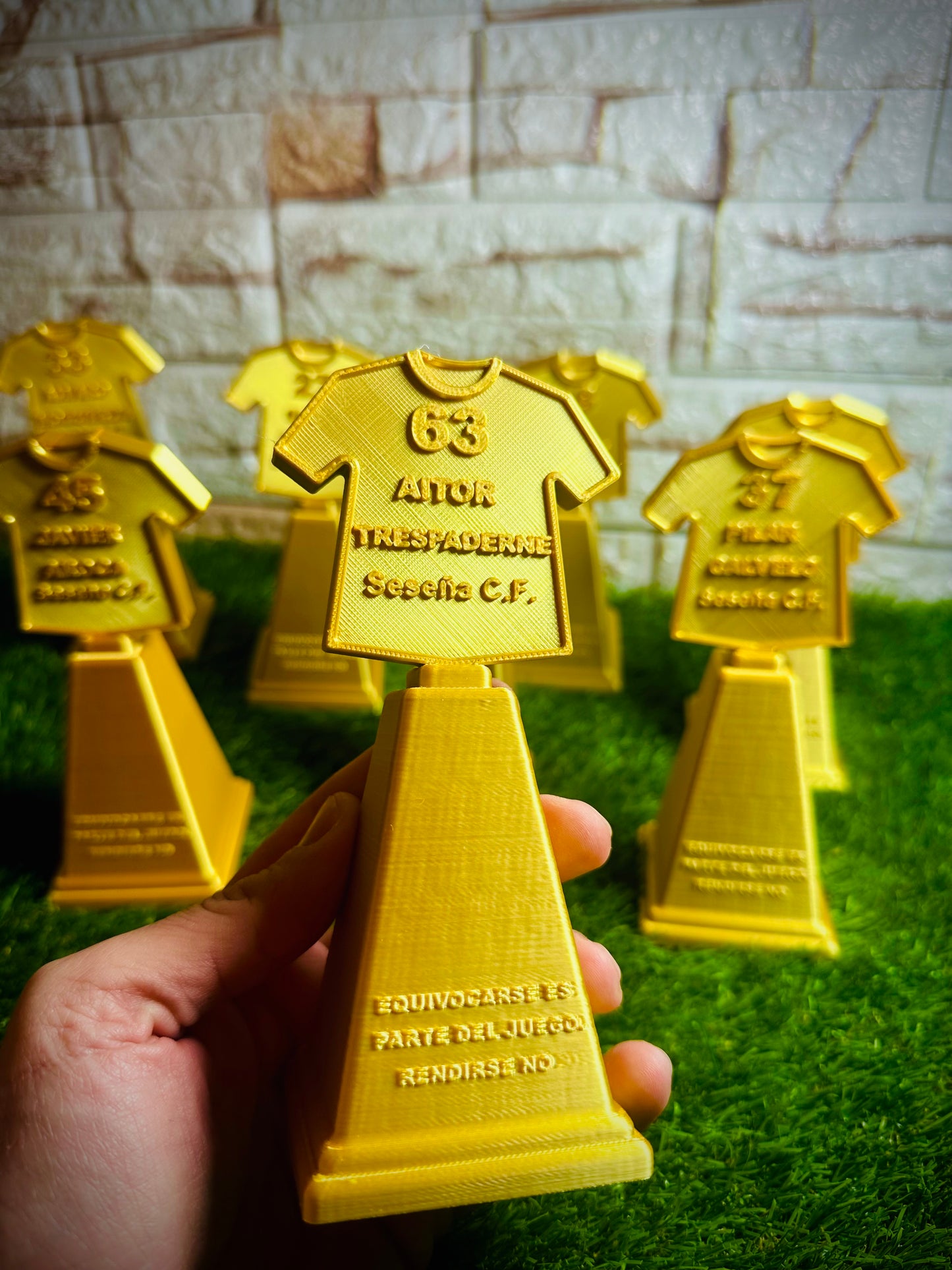 Trofeos de Equipo personalizados