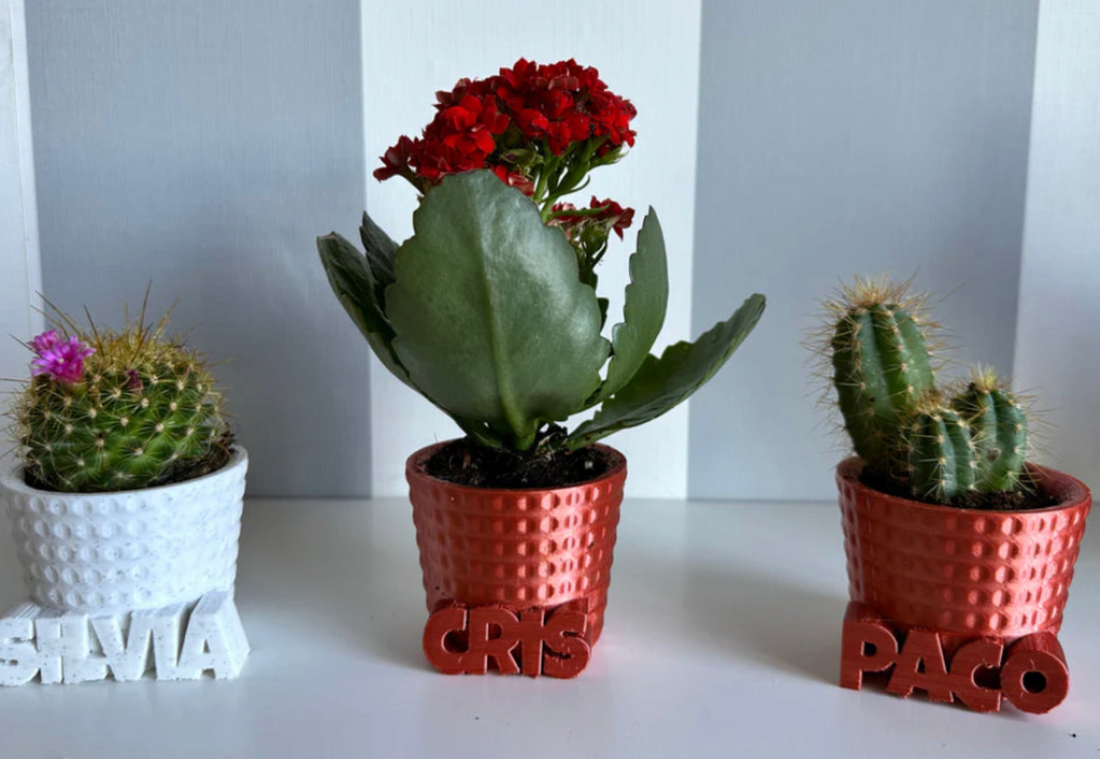 Macetas personalizadas para eventos y regalos corporativos